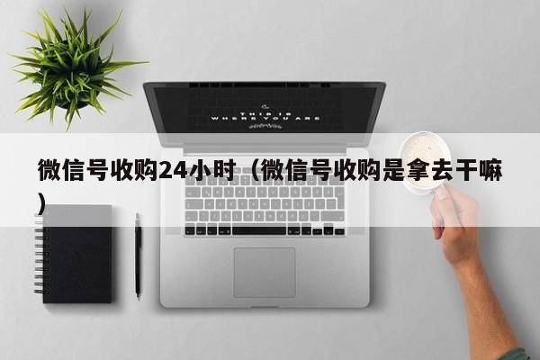 微信号收购24小时（微信号收购是拿去干嘛）